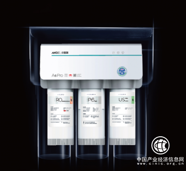 安吉爾，再贏佳績