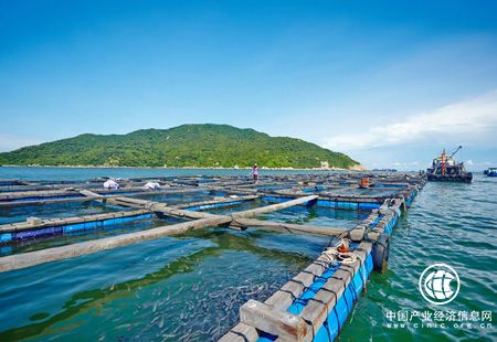 多地加速優化海洋經濟產業結構 有望成為新的增長極