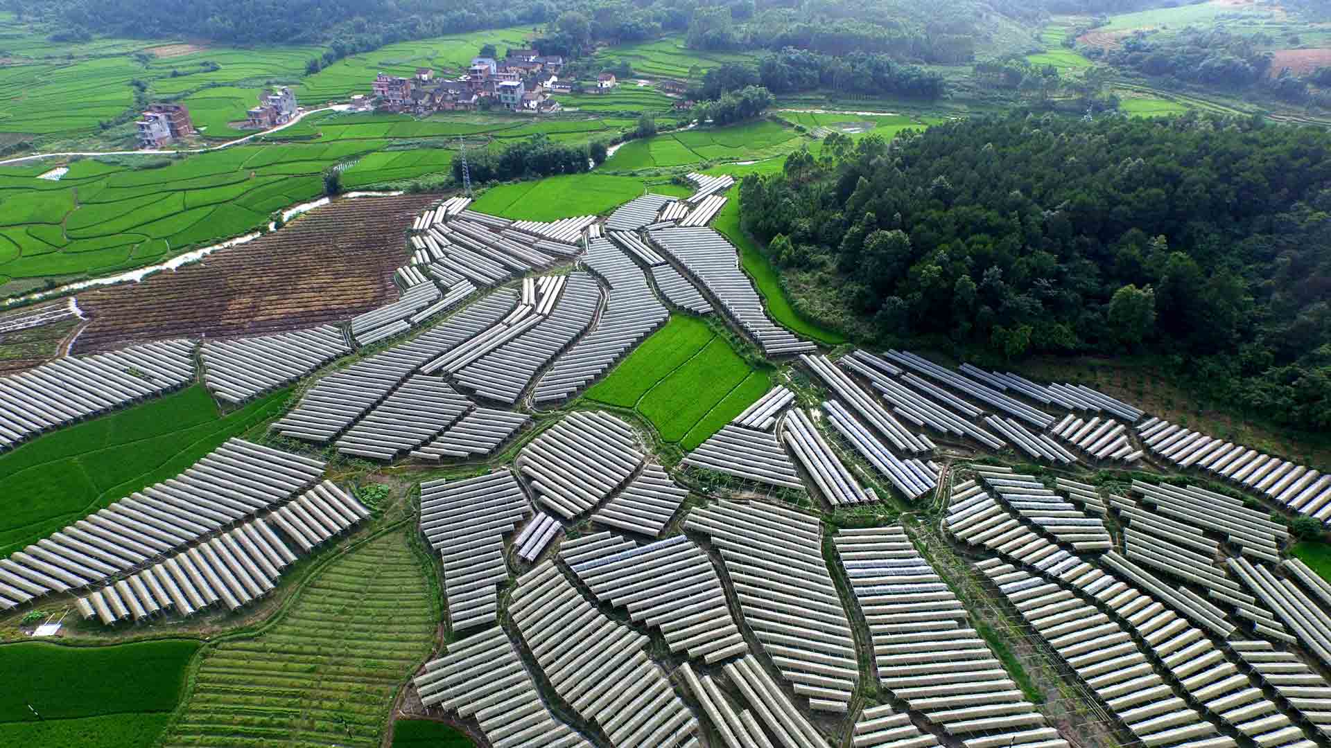 深度貧困地區咋脫貧？國務院扶貧辦主任這樣答