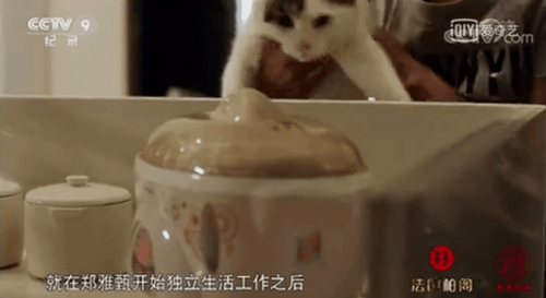 舌尖上的中國天際電器隔水燉1.png