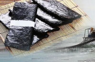 中國紫菜出口份額從65%降至35% 產業優勢逐步弱化