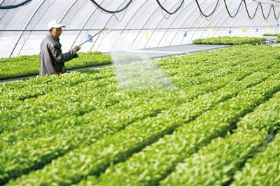 推動現代服務業同現代農業深度融合——讓農業成為有奔頭的產業