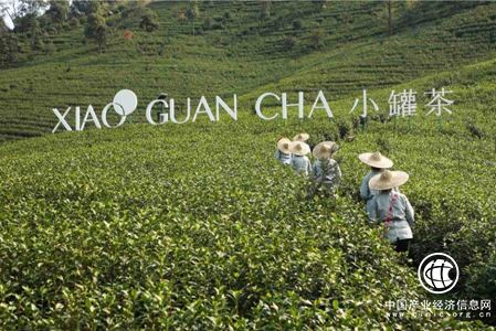 茶品牌如何破局又“老”又“土”困境？小罐茶又創新思路