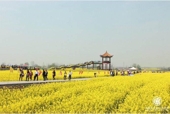 湖北沙洋：多產業融合助推農業轉型發展