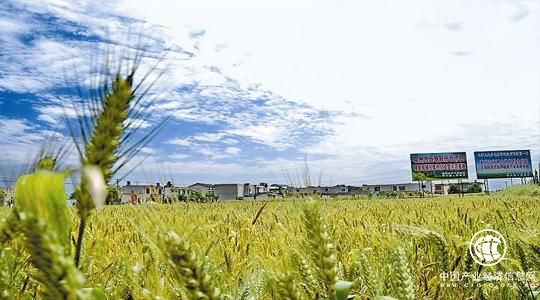 四川：“崇州標準”為鄉村振興注入新動能