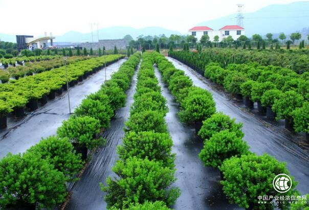 科技部開啟新一批國家農業科技園區申報