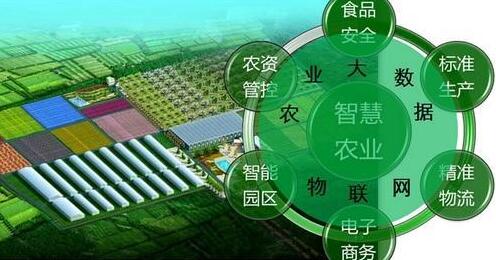 我國農業大數據創新應用大有可為