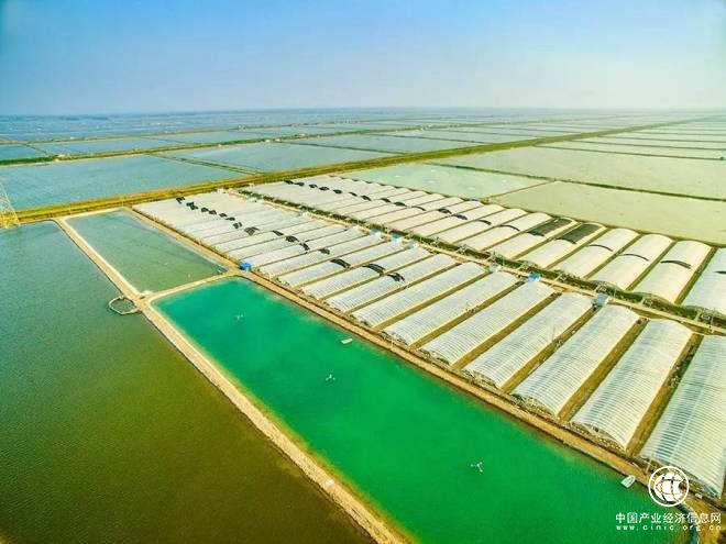 江蘇連云港：“互聯網+”助農場人筑夢智慧新生活