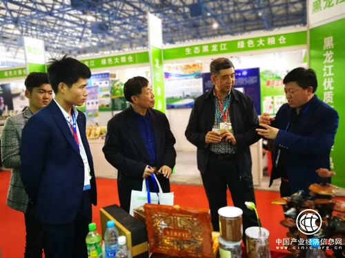小靈芝成就大產業——坤健農業董事長祝嗣臣的寒地靈芝情