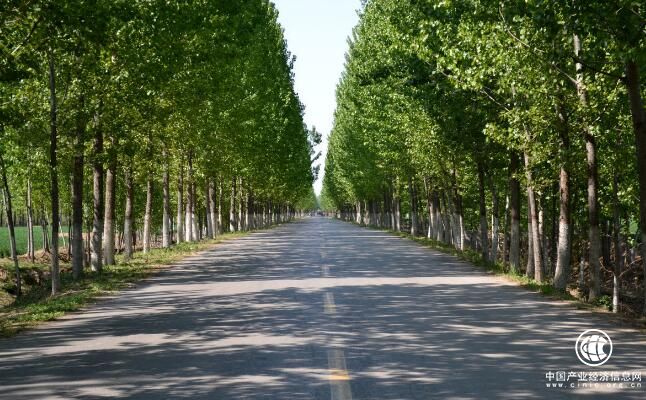 山東：3年投入450億元新建改造農村公路