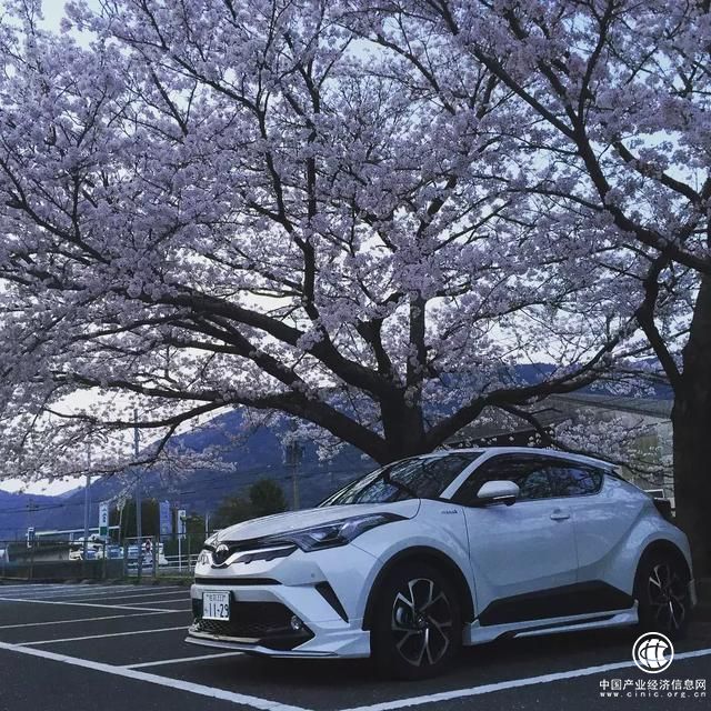 豐田這款網紅車，才是合資小型SUV的正確打開方式