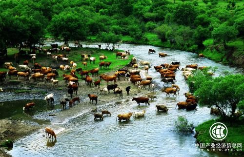 內蒙古赤峰市：三年打造“優質旅游”目的地