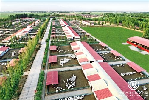 內蒙古包頭今年將打造30個農牧業綜合技術集成示范基地