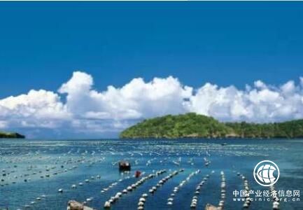 山東青島即墨加快新舊動能轉換 實現海洋漁業轉型升級