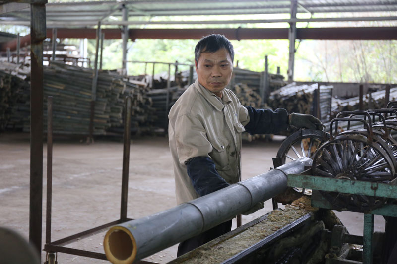 四川科技創新助力竹產業升級