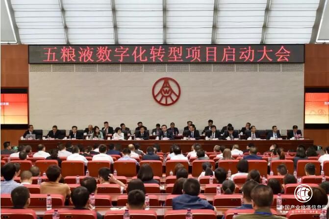 熱點丨五糧液+IBM，兩個世界“500強”謀劃了4個月，孵化了什么？
