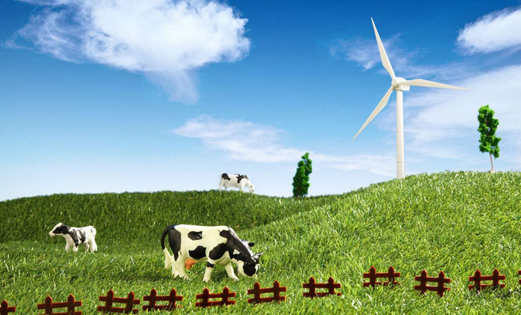 出游又添新去處 農業農村部推介20個休閑觀光牧場