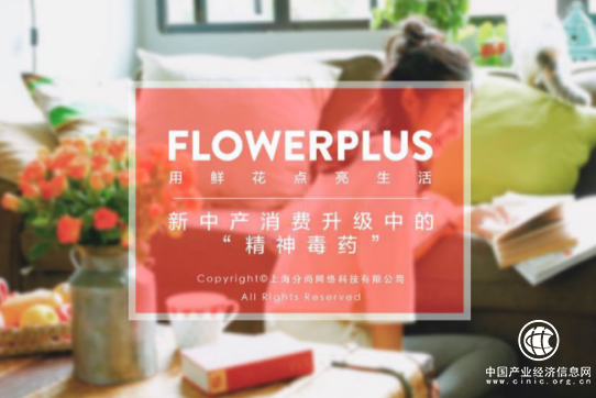 Flowerplus花加領跑口碑營銷標桿企業 單月銷售最高過億 