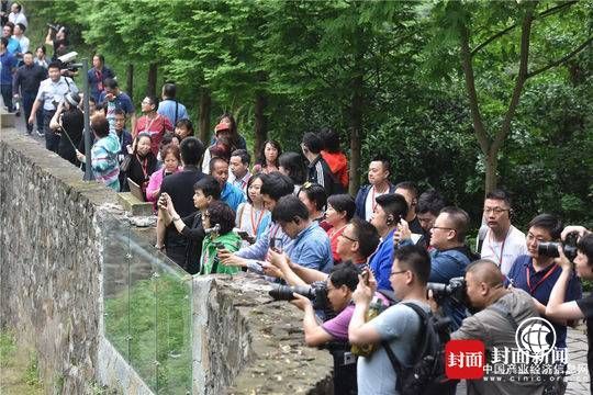 30多位媒體總編輯走進都江堰德陽見證產業振興 感受“大國重器”