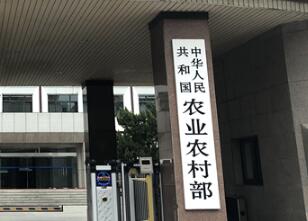 確保元旦春節豬肉供應 農業農村部打＂組合拳＂
