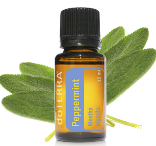 出游帶上doterra多特瑞精油，盡情欣賞初夏大好風光