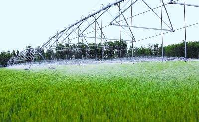農業調整重在優化經營結構，全面提高農業供給質量