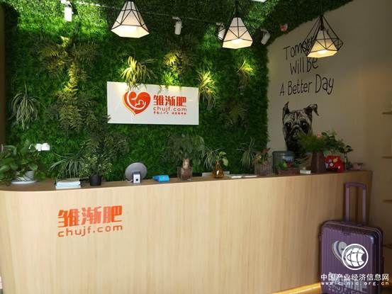 南京雛漸肥月嫂公司：回顧線下體驗活動，讓你找月嫂不再心累
