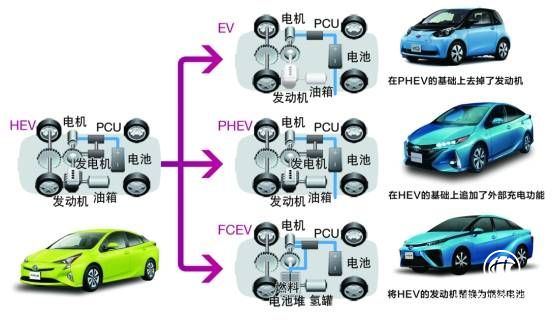 新龜兔賽跑，揭秘豐田在華“電動化”布局