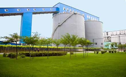 鞍鋼礦業：百里礦山染新綠