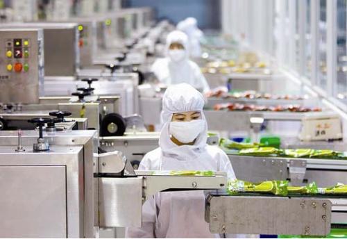 浙江寧波科技服務“引擎”助制造業換擋提速