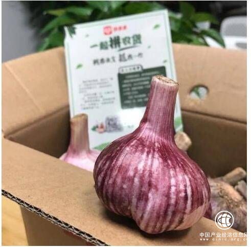 為何全國滯銷的大蒜，能在拼多多上一天賣出4.7萬單？