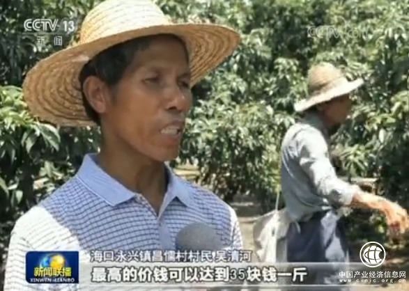 海口 錢袋子 特色產業
