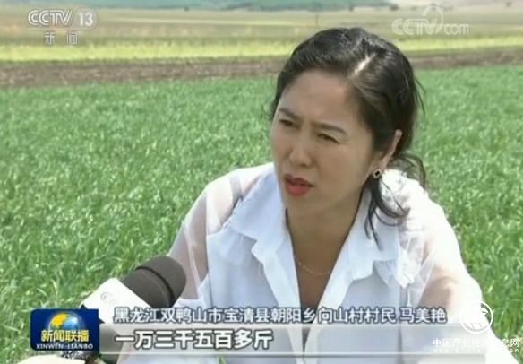 黑龍江調整優化種植結構農業供給側改革推進現代農業