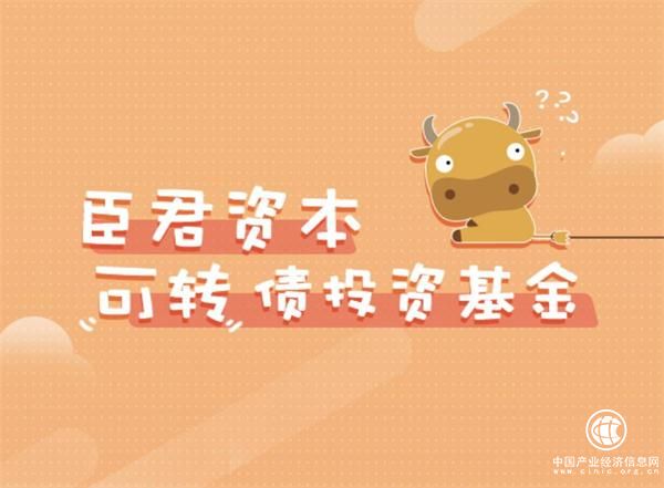 臣君資本：可轉債新藍海 紅利從何而來？