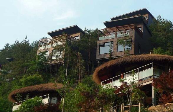 浙江省德清縣：大力發展鄉村旅游助力鄉村振興