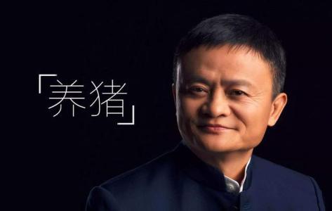 馬云計劃用AI養豬，為每一頭豬建立體檢檔案