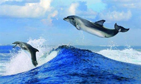 國產紀錄片播出增新規，衛視黃金檔全年不得低于7小時