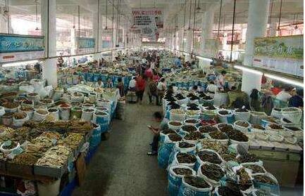 安徽亳州：一步一個腳印打造“世界中醫藥之都”