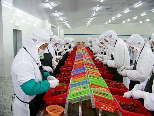 小龍蝦產業有多火 去年產值2685億同比增83%