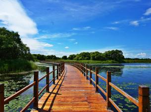 黑龍江打造中醫藥健康旅游“龍江名片”