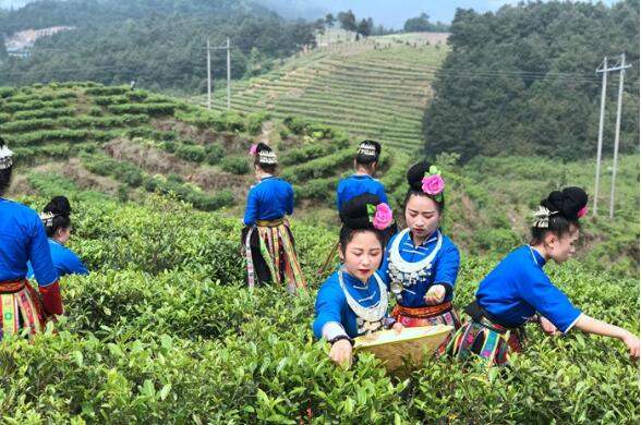 云南省紅河州以綠色金融推動城市經濟轉型升級