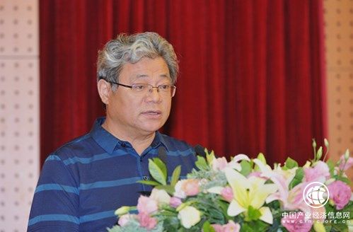 海峽兩岸農業專家委員會主任、大農國際控股集團董事局主席孫以川致辭
