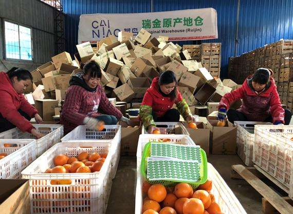 山西發布運城面粉等14個農產品區域公用品牌 助力農民“抱團”闖市場