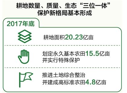 數量、質量、生態協同 耕地保護新格局基本形成