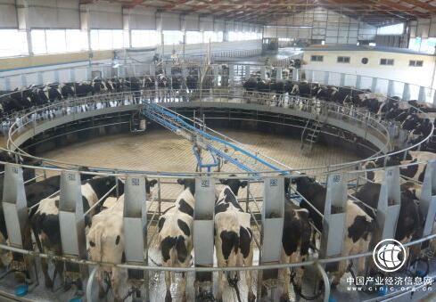 乳業半年報 消費疲軟 整體業績不及預期  價減量增 市場有望逐步恢復
