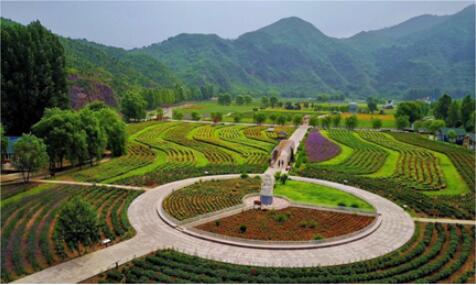 農業景觀謀發展，北京密云人間花海水上娛樂王國受關注