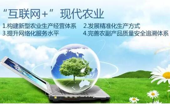 互聯網+農業：讓農產品“出村” 讓信息“進村”