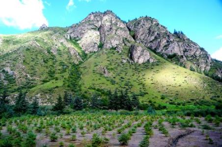 礦業生態環境治理進入“窗口期”