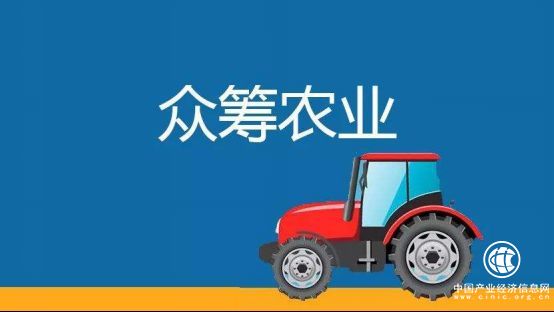 樂農之家：農業眾籌是一條會賺錢的“鲇魚” 攪活了互聯網金融