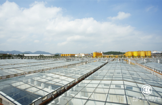 海天醬油踐行企業社會責任 不斷致力于產業升級